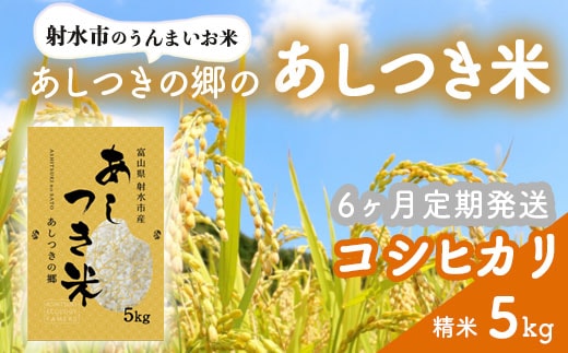 【6ヶ月定期便】【射水市】【環境保全型農業】【スマート農業】【射水の美味しいお米】あしつきの郷のあしつき米 R8年度産 コシヒカリ 5kg【精米】※2026年9月～発送