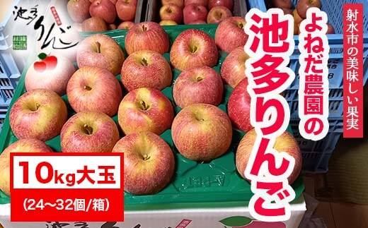 【射水のおいしい果実】【林檎】 よねだ農園の池多りんご サンふじ 10kg大玉（24～32個／箱） ※2026年11月～発送