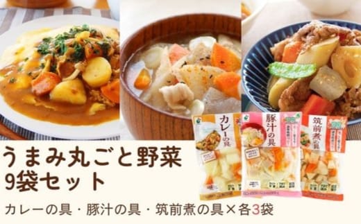 「うまみ丸ごと野菜シリーズ3種（カレーの具、豚汁の具、筑前煮の具）」×各3袋 ※離島への配送不可