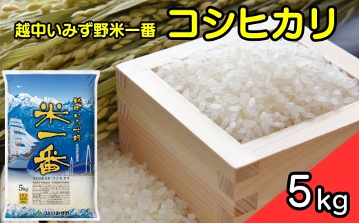 【R7年度産米】越中いみず野米一番 5kg（コシヒカリ）｜米 お米 令和7年産米 ブランド米 銘柄米 等級検査 1等米 こめ 5キロ 送風乾燥 色彩選別 低温貯蔵 白米 小分け 送料無料 富山県産 射水市産 ※2025年9月中旬～2026年8月下旬頃に順次発送予定