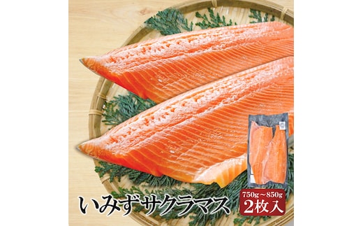 魚 鮭 切身 いみずサクラマス 2枚入(約750g～約850g)おつまみ 弁当 サーモン グルメ 食品/富山県射水市