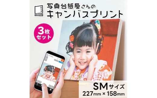 キャンバスプリント SMサイズ 3枚セット フォト 写真 パネル オーダー 印刷 アート ファブリックパネル インテリア