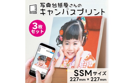 キャンバスプリント SSMサイズ 3枚セット フォト 写真 パネル オーダー 印刷 アート ファブリックパネル インテリア