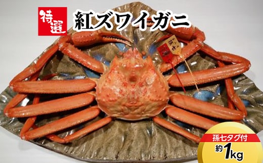 【特選】紅ズワイガニ約1kg（孫七タグ付） ※2026年9月～発送