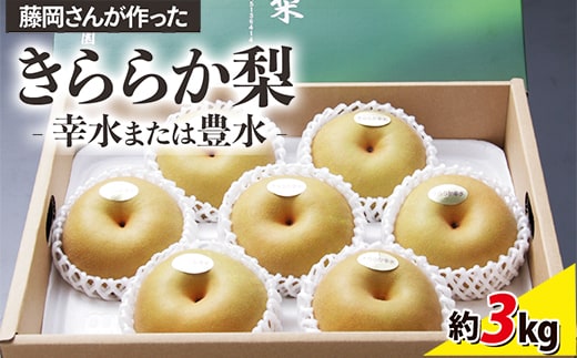 藤岡さんが作ったきららか梨（幸水または豊水）約3kg ｜ 梨 ナシ 果物 フルーツ ※2026年8月～発送