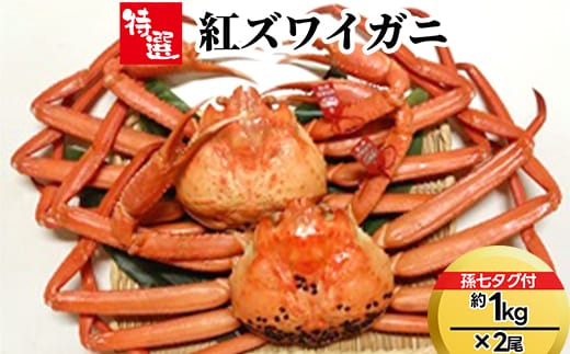 【特選】紅ズワイガニ約1kg×2尾（孫七タグ付） ※2026年9月～発送