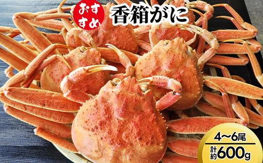 【おすすめ】香箱がに4～6尾（計約600g） ※2026年11月～発送