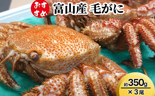 【おすすめ】富山産 毛がに約350g×3尾 ※2026年11月～発送