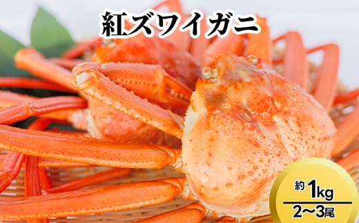 紅ズワイガニ約1kg（2～3尾） ※2026年9月～発送