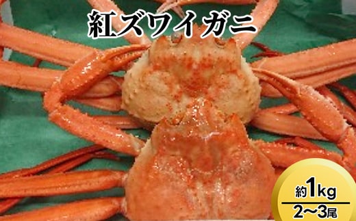 【おすすめ】紅ズワイガニ約1kg（2～3尾）【棚辺水産】※2025年9月中旬～2026年3月下旬頃に順次発送予定 ※離島への配送不可