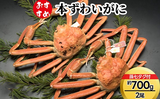 【おすすめ】本ずわいがに約700g×2尾（孫七タグ付き） ※2026年11月～発送