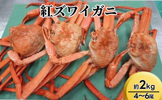 紅ズワイガニ約2kg（4～6尾）【棚辺水産】※2025年9月中旬～2026年3月下旬頃に順次発送予定 ※離島への配送不可