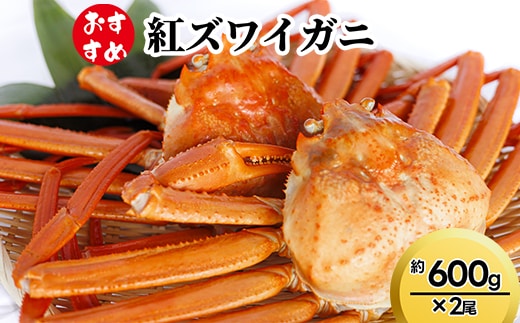 【おすすめ】紅ズワイガニ約600g×2尾 ※2026年9月～発送