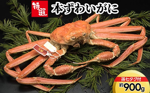 【特選】本ずわいがに約900g（孫七タグ付） ※2026年11月～発送