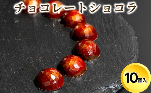 チョコレート ショコラ10個入/パティスリーサクライ/菓子 チョコ ショコラ お酒 ウイスキー 北陸 /富山県射水市