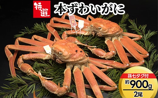 【特選】本ずわいがに約900g×2尾（孫七タグ付き） ※2026年11月～発送
