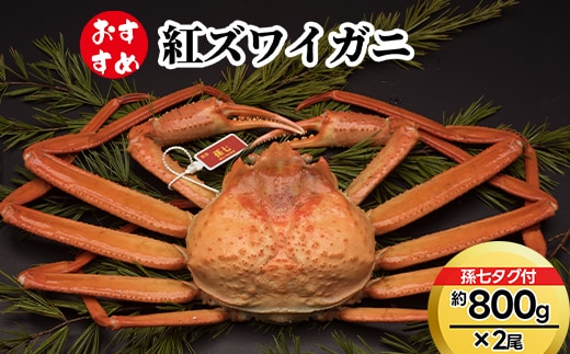【おすすめ】紅ズワイガニ約800g×2尾（孫七タグ付） ※2026年9月～発送