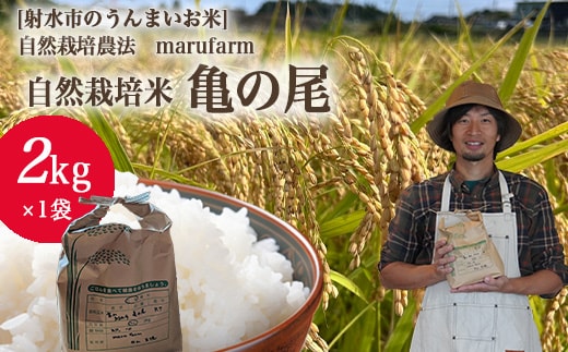 【射水の美味しいお米】【自然栽培農法】自然栽培農家 marufarm 自然栽培米「亀の尾」2kg ※離島への配送不可