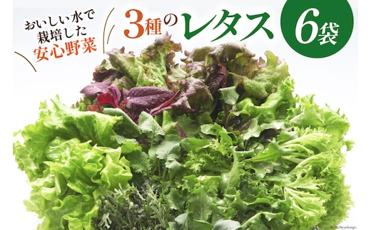 富山のおいしい水で生産した安心野菜（6袋） / 北陸機材 / 富山県 舟橋村 [57050100] 野菜 野菜セット フラワーリーフ フリルレタス マルチレタス 水耕栽培
