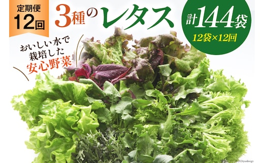 【12回定期便】富山のおいしい水で生産した安心野菜（12袋）[北陸機材 富山県 舟橋村 57050146] 野菜 野菜セット フラワーリーフ フリルレタス マルチレタス 水耕栽培 定期便