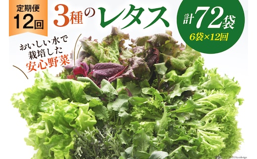 【12回定期便】富山のおいしい水で生産した安心野菜（6袋）[北陸機材 富山県 舟橋村 57050147] 野菜 野菜セット フラワーリーフ フリルレタス マルチレタス 水耕栽培 定期便