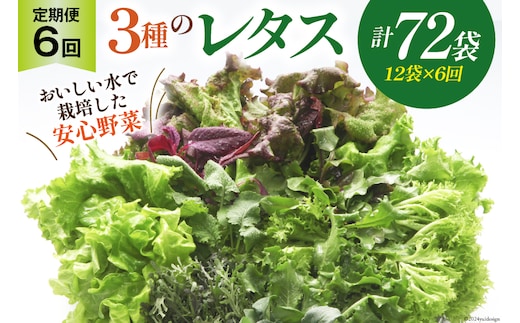 【6回定期便】富山のおいしい水で生産した安心野菜（12袋）[北陸機材 富山県 舟橋村 57050148] 野菜 野菜セット フラワーリーフ フリルレタス マルチレタス 水耕栽培 定期便