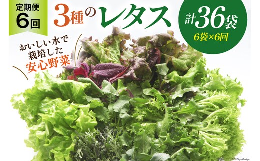 【6回定期便】富山のおいしい水で生産した安心野菜（6袋）[北陸機材 富山県 舟橋村 57050149] 野菜 野菜セット フラワーリーフ フリルレタス マルチレタス 水耕栽培 定期便