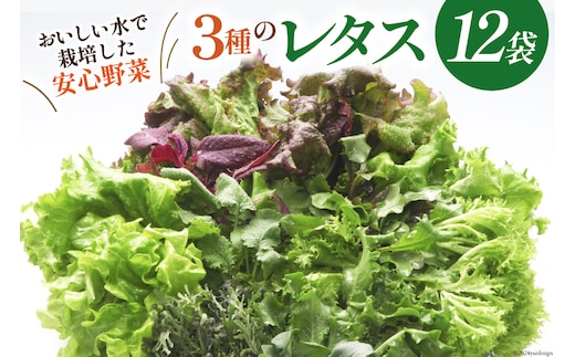 富山のおいしい水で生産した安心野菜（12袋）[北陸機材 富山県 舟橋村 57050150] 野菜 野菜セット フラワーリーフ フリルレタス マルチレタス 水耕栽培