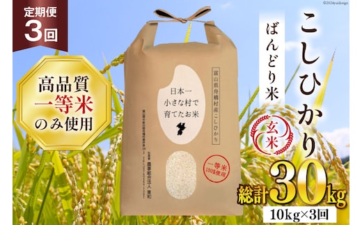 米 新米 令和8年 ばんどり米 コシヒカリ 玄米 10kg 3回 定期便 総計30kg [農事組合法人東和 富山県 舟橋村 57050229] 一等米 コメ お米 ごはん ご飯 こしひかり 10キロ ブランド米 美味しい 富山 農家 ふるさと納税