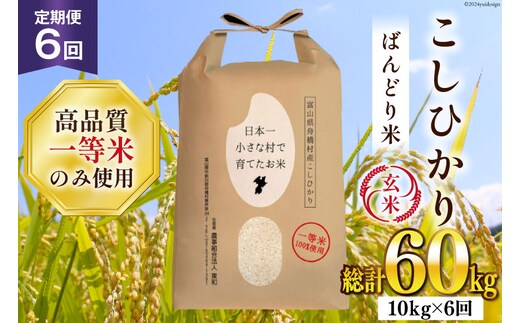 米 新米 令和8年 ばんどり米 コシヒカリ 玄米 10kg 6回 定期便 総計60kg [農事組合法人東和 富山県 舟橋村 57050230] 一等米 コメ お米 ごはん ご飯 こしひかり 10キロ ブランド米 美味しい 富山 農家 ふるさと納税