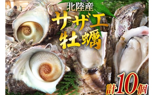 牡蠣 サザエ 各5個 水揚げ直送セット [聖徳丸 富山県 朝日町 34310517] 岩牡蠣 さざえ カキ