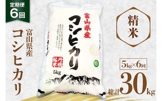米 令和8年産 コシヒカリ 精米 5kg 6回 定期便 [サンライス青木 富山県 朝日町 34310563] お米 おこめ こめ kome コシヒカリ 精米 定期便 定期 5キロ 6ヶ月 令和8年 ごはん