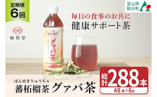 お茶 定期便 グァバ茶 500ml 48本(2ケース) 6回 計288本 [広貫堂 富山県 朝日町 34310588] グアバ ノンカフェイン カロリーゼロ 健康茶 ケース 箱 リピート 黒部名水 48本 500ml