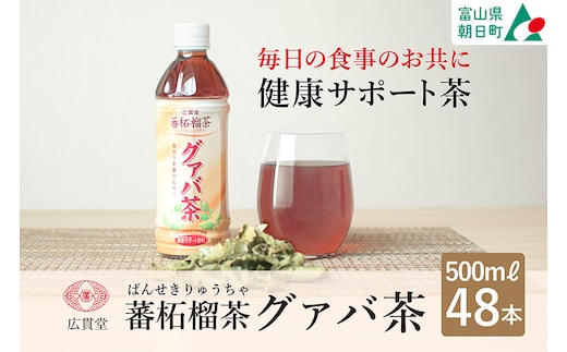 お茶 グァバ茶 500ml 24本 × 2ケース 計48本 [広貫堂 富山県 朝日町 34310388] グアバ ノンカフェイン カロリーゼロ 健康茶 ケース 箱 リピート 黒部名水 48本 500ml