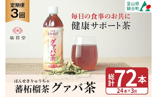 お茶 定期便 グァバ茶 500ml 24本 1ケース 3回 計72本 [広貫堂 富山県 朝日町 34310591] グアバ ノンカフェイン カロリーゼロ 健康茶 ケース 箱 リピート 黒部名水 500ml 定期