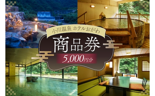 商品券 小川温泉 ホテルおがわ 1000円 5枚 計 5000円 [小川温泉開発 富山県 朝日町 34310496] 入浴券 宿泊 食事 旅行 温泉