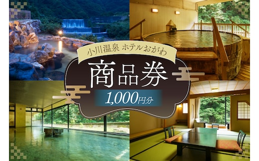 商品券 小川温泉 ホテルおがわ 1000円 1枚 [小川温泉開発 富山県 朝日町 34310497] 入浴券 宿泊 食事 旅行 温泉