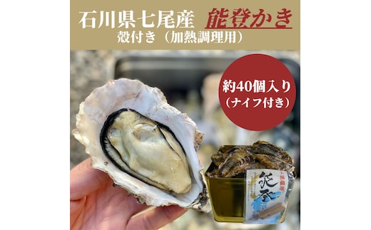 石川県七尾産 能登かき 殻付き 半缶（約40個） ※北海道・沖縄・離島への配送不可 ※2025年12月上旬～2026年5月下旬頃に順次発送予定