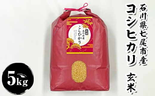 石川県七尾市産 コシヒカリ 玄米 5Kg ※2025年11月上旬～2026年3月下旬頃に順次発送予定