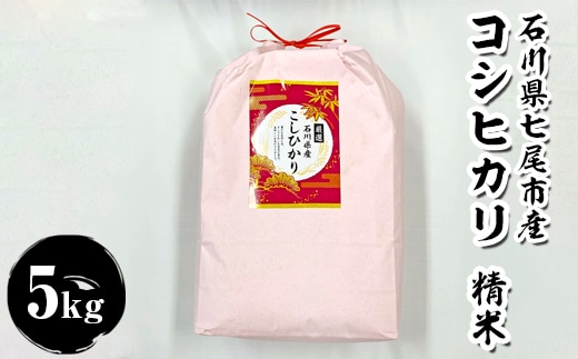 石川県七尾市産 コシヒカリ 精米 5Kg ※2025年11月上旬～2026年3月下旬頃に順次発送予定