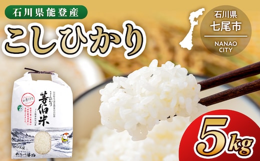 【令和8年産】等伯米コシヒカリ 5kg×1袋 ｜ 世界農業遺産に認定された『能登の里山里海』で育まれたお米 石川県 七尾市 能登 ※2026年10月～発送