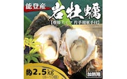 能登産 岩牡蠣（2.5kgセット／8～10個入）専用ナイフ 片手用軍手付 加熱用 冷蔵配送 ※2026年6月下旬～8月上旬頃に順次発送予定 ※離島への配送不可