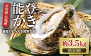 【能登半島地震復興支援】魚介類 牡蠣　/ 能登かき 殻付 牡蠣 約3.5kg（約30個）専用ナイフ・片手用軍手付 石川県 七尾市 能登 ※加熱用 ※2026年1月下旬～5月下旬頃に順次発送予定 ※離島への配送不可
