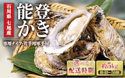 【能登半島地震復興支援】【発送時期が選べる】魚介類 牡蠣　/ 能登かき　殻付牡蠣 半缶/約5kg（約40～50個） 専用ナイフ 片手用軍手付 /世界農業遺産「能登の里山里海」｜石川県 七尾市 能登 ※要加熱 ※2027年1月下旬～5月下旬頃に順次発送予定 ※離島への配送不可