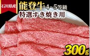石川県産 能登牛（4～5等級）特選すき焼き用 300g ※2025年1月以降に順次発送予定