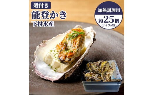 石川県七尾産 能登かき 殻付き（約25個）※北海道・沖縄・離島への配送不可 ※2025年12月上旬～2026年5月下旬頃に順次発送予定