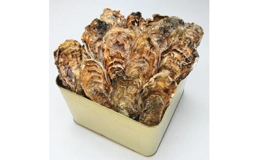 【発送時期が選べる】魚介類 牡蠣 / 山口水産の能登かき / 殻付き半缶[殻付き約35～40個◇] 石川県 七尾市 能登 ※2026年1月中旬～5月中旬頃に順次発送予定 ※離島への配送不可