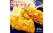 能登かきを使ったカキフライ　40個入り(冷凍・小分け） ※着日指定不可 ※2024年12月中旬～2025年4月下旬頃に順次発送予定