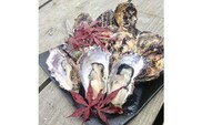 魚介類 牡蠣　/能登かき むき身と殻付のセット（むき身約500g・殻付15個）専用ナイフ 片手用軍手付/世界農業遺産「能登の里山里海」※要加熱※2023年（令和5年）1月中旬から順次発送※離島への配送不可