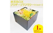 水引BOXプリザーブドフラワー（イエロー）｜花 ギフト プレゼント アレンジ 植物　インテリア　おしゃれ 母の日 誕生日 結婚祝い 退職祝い お祝い